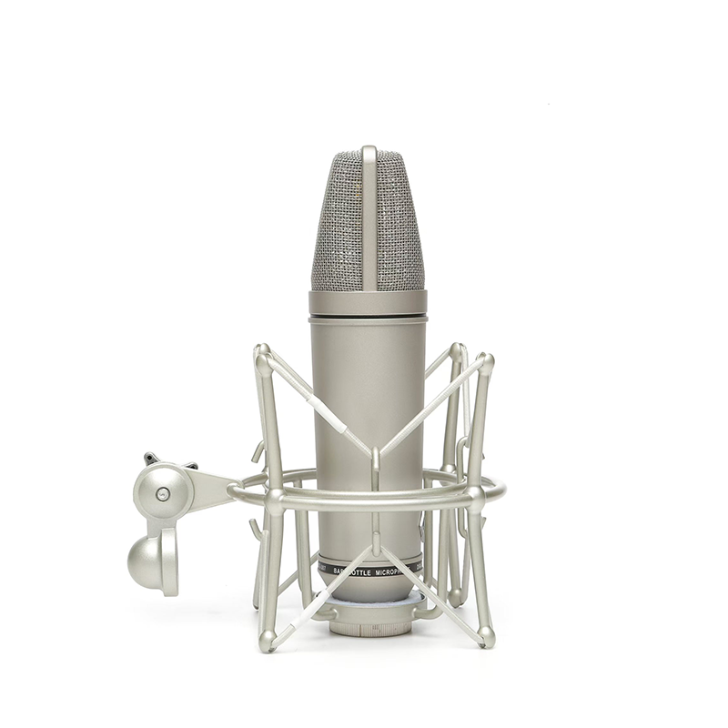 U80 - Large-Diaphragm Condenser Microphone
